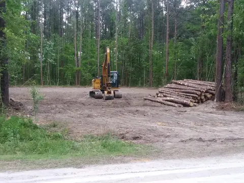Timber stacked and separated as the lot is opened up — Coastal Clearing & Debris, Brunswick County NC