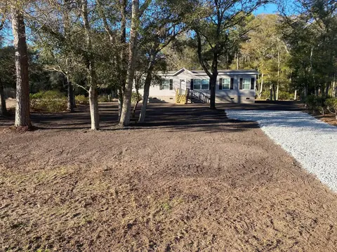 Drive curved in through the trees to the house — Coastal Clearing & Debris, Brunswick County NC