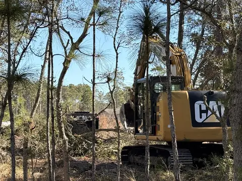 Excavator taking down heavy undergrowth — Coastal Clearing & Debris, Brunswick County NC