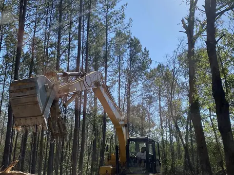 Thumb attachment handling limbs in tall pine — Coastal Clearing & Debris, Brunswick County NC