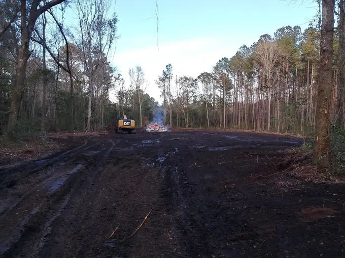 Access road cut and grubbed through standing timber on a Brunswick County lot